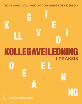 Kollegaveiledning i praksis