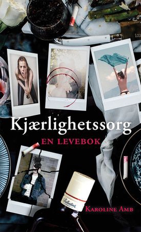 Kjærlighetssorg - en levebok (ebok) av Karoline Amb