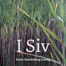 I siv (lydbok) av Grete Randsborg Jenseg