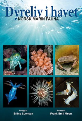 Dyreliv i havet - norsk marin fauna (ebok) av Frank Emil Moen