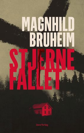Stjernefallet - roman (ebok) av Magnhild Bruheim