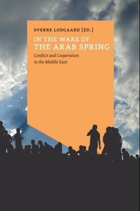 In the wake of the arab spring (ebok) av