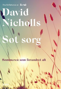 Søt sorg (ebok) av David Nicholls