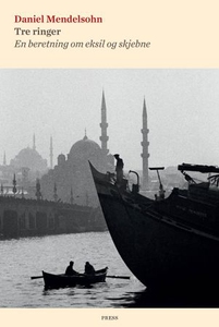Tre ringer (ebok) av Daniel Mendelsohn
