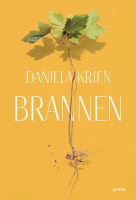Brannen (ebok) av Daniela Krien