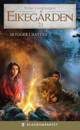 Skygger i natten (ebok) av Stine Langtangen