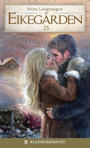 Snøfall (ebok) av Stine Langtangen