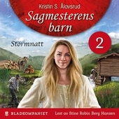 Stormnatt