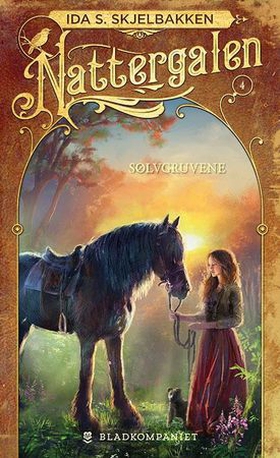 Sølvgruvene (ebok) av Ida S. Skjelbakken
