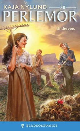 Underveis (ebok) av Kaja Nylund