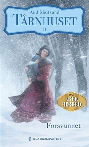 Forsvunnet (ebok) av Aud Midtsund
