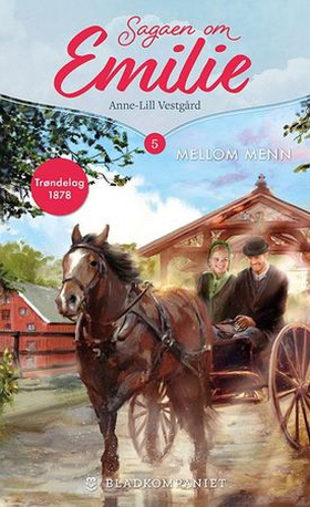 Mellom menn (ebok) av Anne-Lill Vestgård