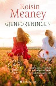 Gjenforeningen (ebok) av Roisin Meaney