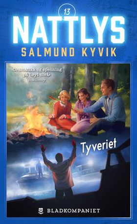 Tyveriet (ebok) av Salmund Kyvik