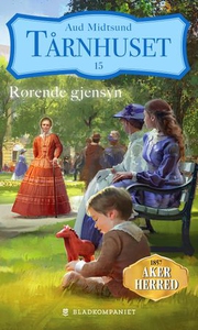 Rørende gjensyn (ebok) av Aud Midtsund
