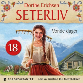 Vonde dager (lydbok) av Dorthe Erichsen