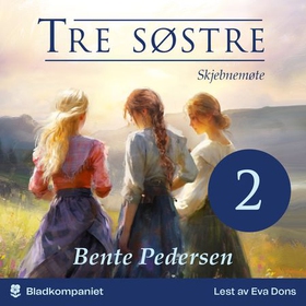 Skjebnemøte (lydbok) av Bente Pedersen