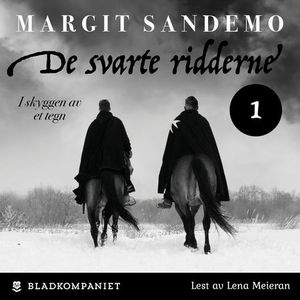 I skyggen av et tegn (lydbok) av Margit Sande