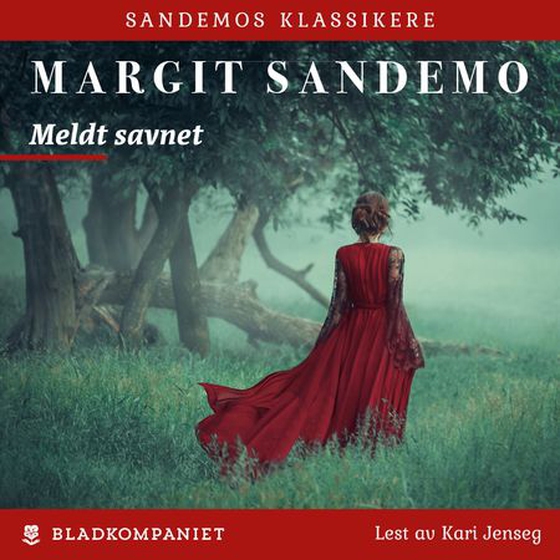 Meldt savnet