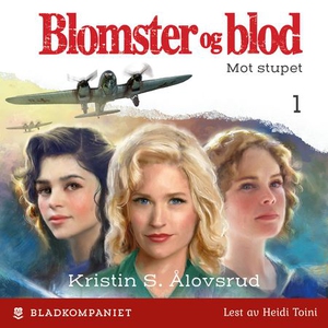 Mot stupet (lydbok) av Kristin S. Ålovsrud