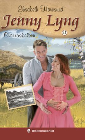 Overraskelsen (ebok) av Elisabeth Havnsund