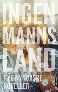 Ingenmannsland (ebok) av Ukjent, Vidar Kvalsh