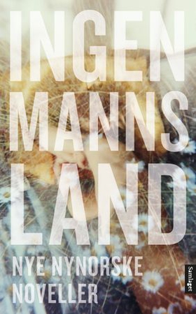 Ingenmannsland