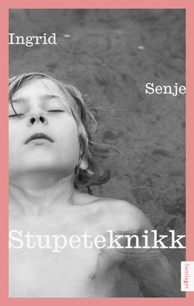 Stupeteknikk - noveller (ebok) av Ingrid Senje