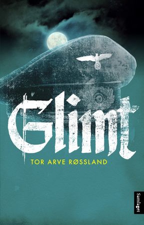 Glimt (lydbok) av Tor Arve Røssland
