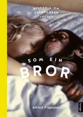 Som ein bror - historia om sjimpansen Julius (lydbok) av Alfred Fidjestøl