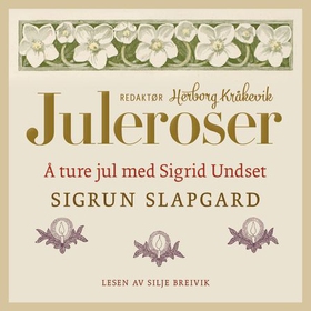 Å ture jul med Sigrid Undset (lydbok) av Sigrun Slapgard