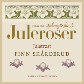 Juletrøst (lydbok) av Finn Skårderud