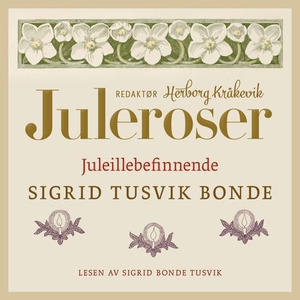 Juleillebefinnende (lydbok) av Sigrid Bonde T