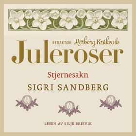 Stjernesakn (lydbok) av Sigri Sandberg