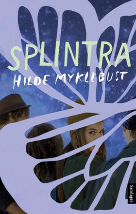 Splintra - roman (ebok) av Hilde Myklebust