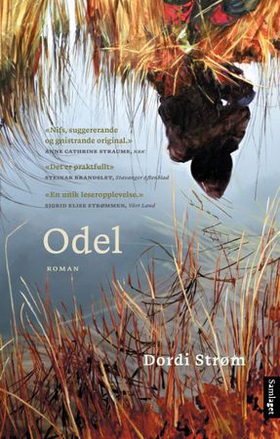 Odel - roman (ebok) av Dordi Strøm