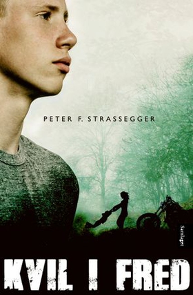 Kvil i fred - roman (ebok) av Peter Strassegger