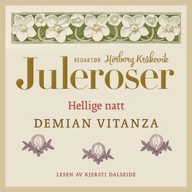 Hellige natt (lydbok) av Demian Vitanza