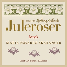 Besøk (lydbok) av Maria Navarro Skaranger