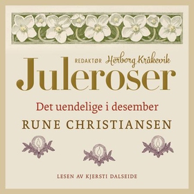 Det uendelige i desember (lydbok) av Rune Christiansen