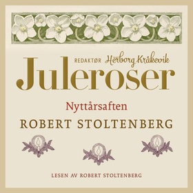 Nyttårsaften (lydbok) av Robert Stoltenberg