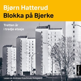 Blokka på Bjerke