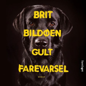Gult farevarsel - roman (lydbok) av Brit Bildøen