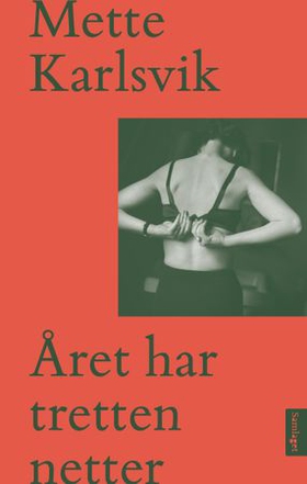 Året har tretten netter - roman (ebok) av Mette Karlsvik