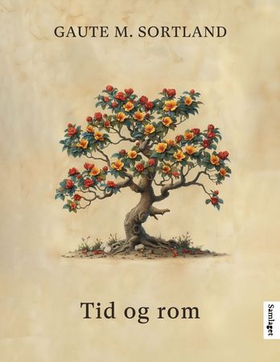 Tid og rom - roman (ebok) av Gaute M. Sortland