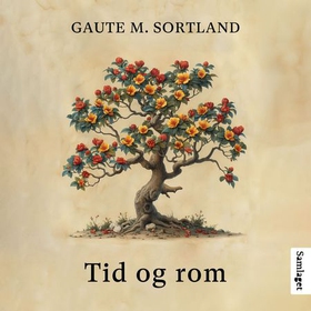 Tid og rom (lydbok) av Gaute M. Sortland