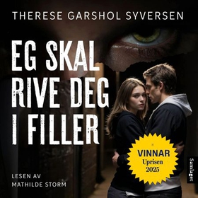 Eg skal rive deg i filler - roman (lydbok) av Therese Garshol Syversen