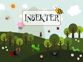 Insekter