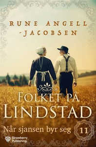 Når sjansen byr seg (ebok) av Rune Angell-Jac