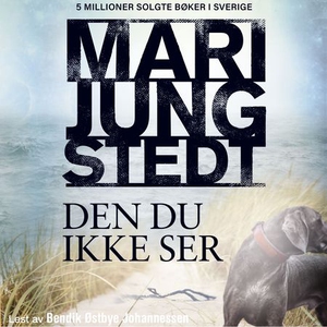 Den du ikke ser (lydbok) av Mari Jungstedt